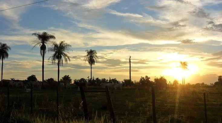 Paraguayan countryside at sunset